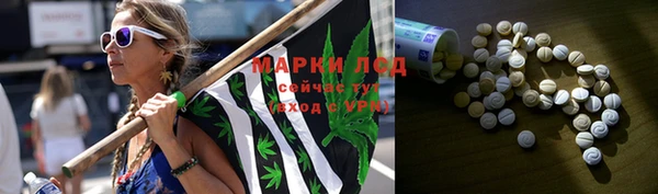 сатива Михайлов