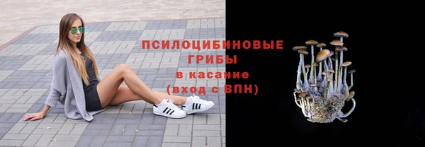 альфа пвп Надым