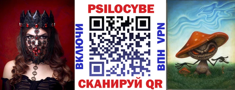 Галлюциногенные грибы Psilocybe  купить   Поворино 
